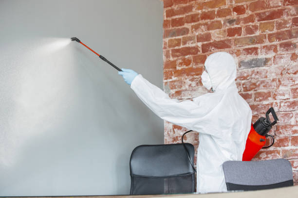 Best Forensic Mold Investigation  in Grand Bay, AL