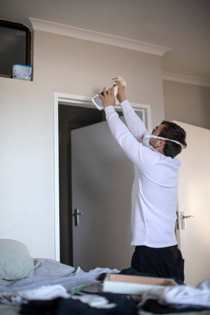 Mold Remediation for Rental Properties in Grand Bay, AL