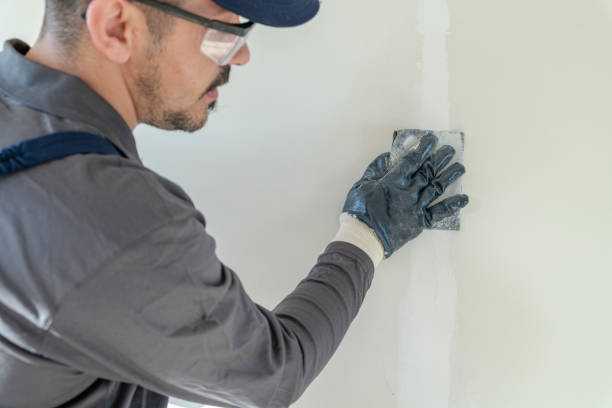  Grand Bay, AL Mold Removal Pros