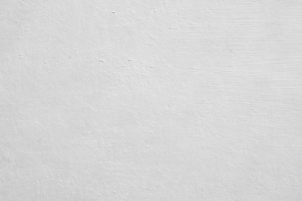 Reliable Grand Bay, AL Mold Removal Solutions