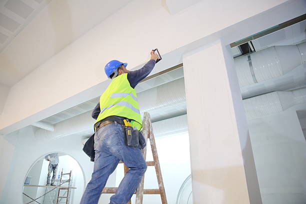 Best Basement Mold Removal  in Grand Bay, AL
